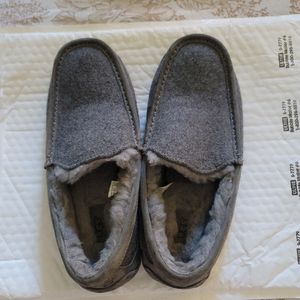Men's Ugg slippers